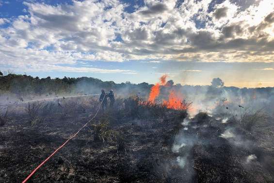 Une série de conférences sur les feux de brousse