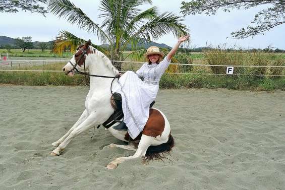 L’histoire du cheval prend vie à la Villa-musée