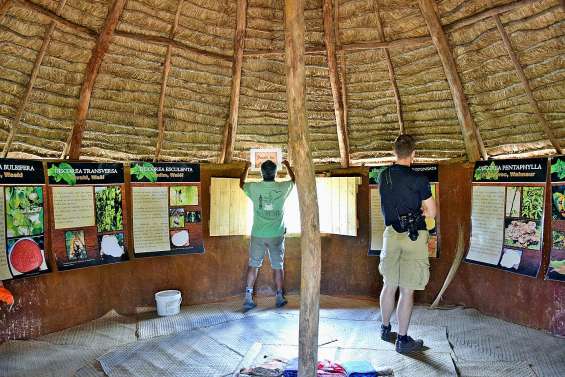 Le Mois du patrimoine chemine dans le Nord