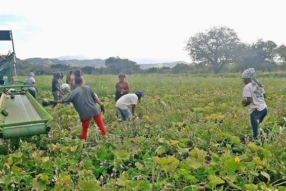 Le Groupement d’employeurs lance les saisonniers