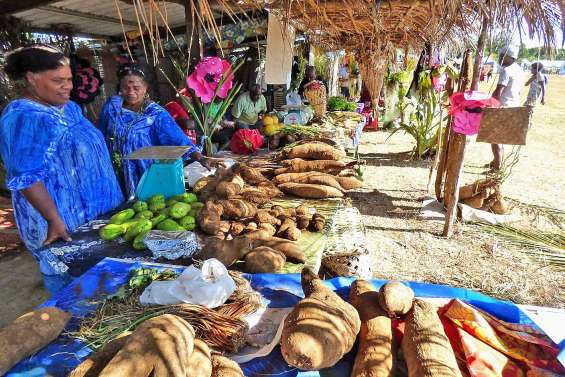 Toutes les richesses des Iles réunies