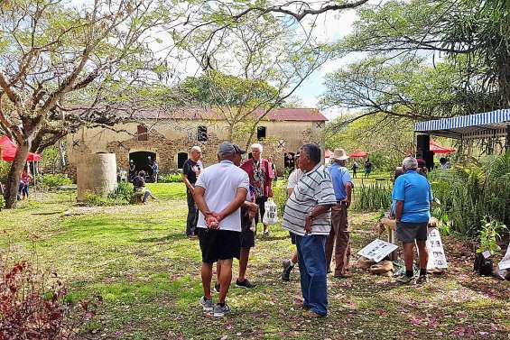 L’histoire du pays racontée à Méaré