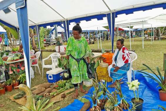 Un grand marché autour de la médiathèque