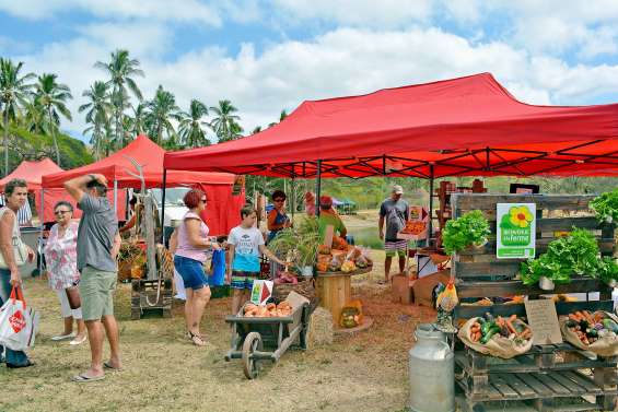 Le marché paysan s’installe à la ferme de la Ryawa