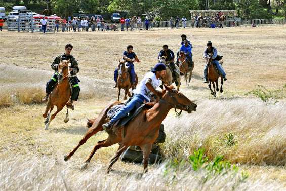 Les cavaliers feront le spectacle aux 4es Jeux équestres