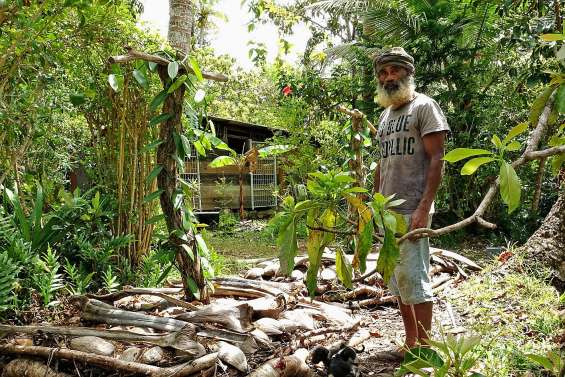 Une journée Ekolo pour découvrir l’agriculture bio