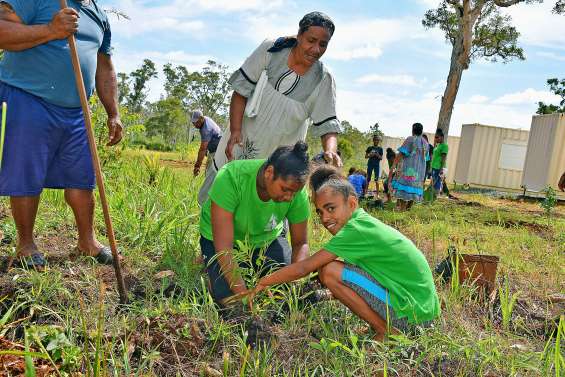 Le projet « fou » de voyage à Dubaï se concrétise pour les collégiens de Yaté