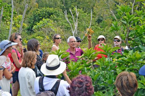 À la découverte de la luxuriance endémique