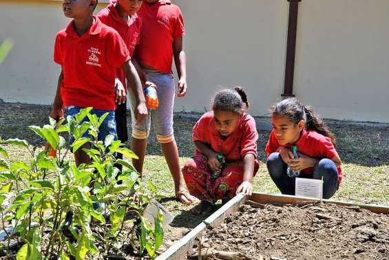 Journée portes ouvertes et échanges  interécoles autour du jardinage