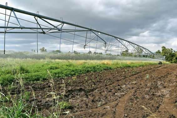 Des fermes pilotes pour accélérer la transition écologique