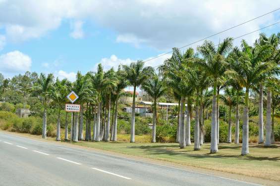 Moindou va célèbrer ses 140 printemps