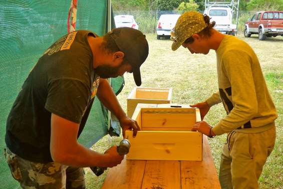 Le miel nouveau est arrivé