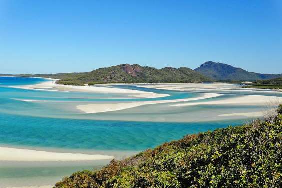 Australie : les professionnels inquiets après des attaques de requin