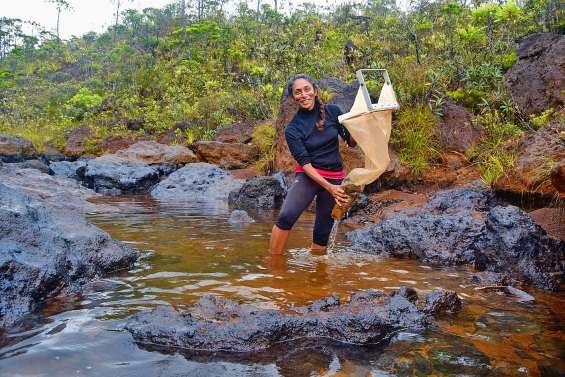 Les rivières du Sud passées au crible