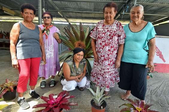 Mareen Dro présente ses trésors  pour la dernière vente de l’année