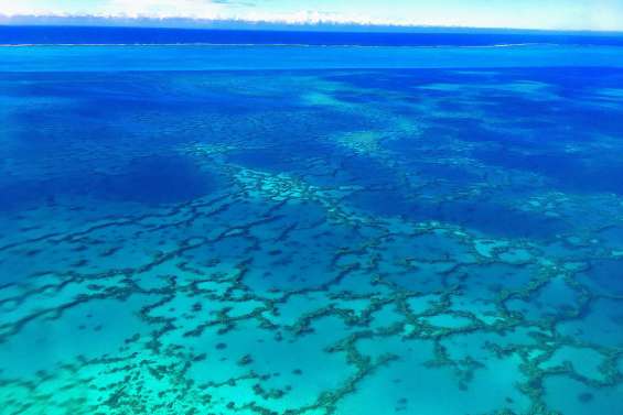 Appels à projet pour valoriser le parc de la mer de Corail