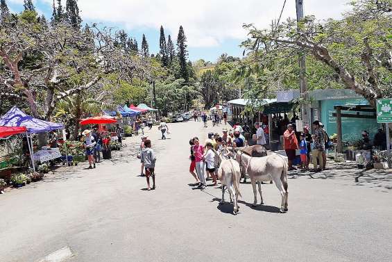Les ânes ont égayé le marché
