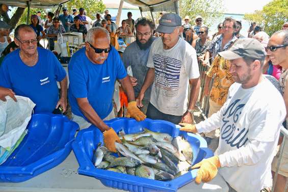 Le public au rendez-vous, pas les bossus