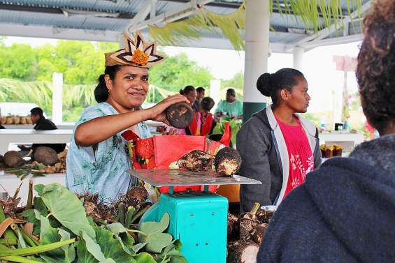 La neuvième édition de la fête du taro se déroule ce week-end