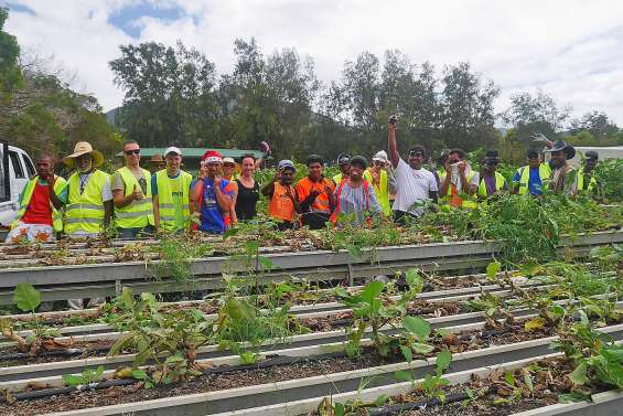 Un glanage solidaire aux Jardins calédoniens