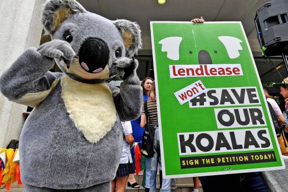 Ils manifestent pour le climat