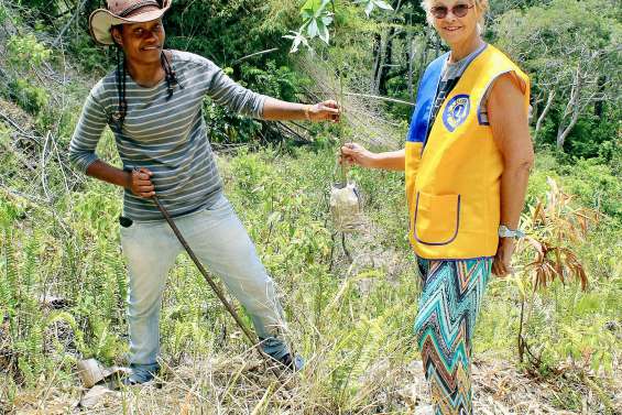 L’opération de reboisement continue à Tiwaé