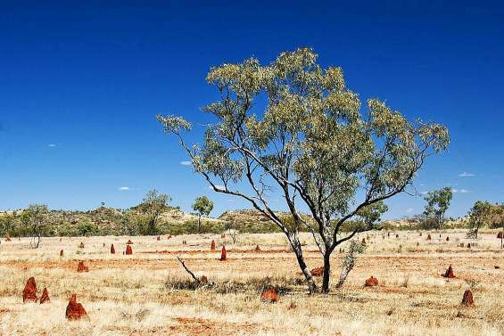 Deux touristes secourus deux semaines après  une panne dans l’Outback