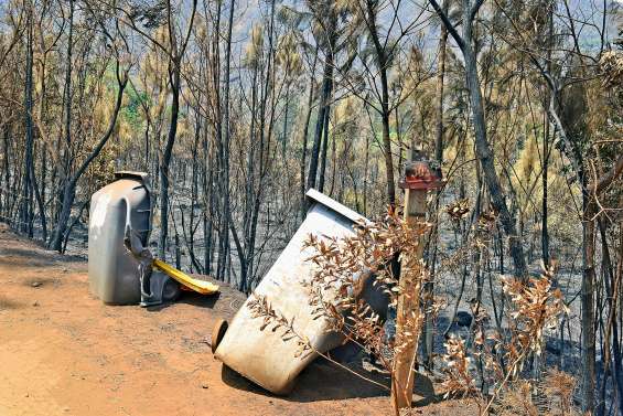 Une semaine au rythme  des incendies