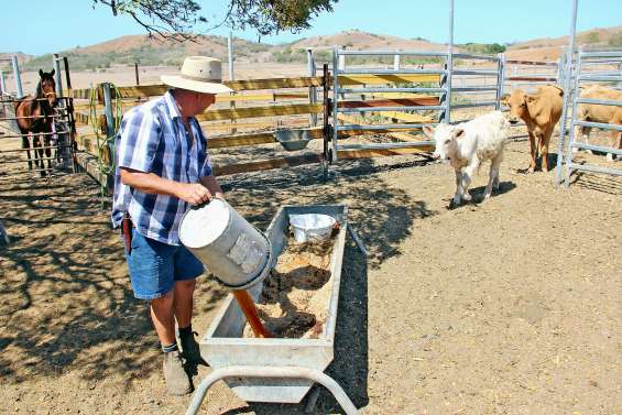 Agriculteurs et éleveurs face aux défis de la sécheresse