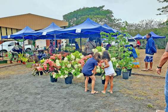 Carton plein pour la toute première Fête du fruit et de l’horticulture