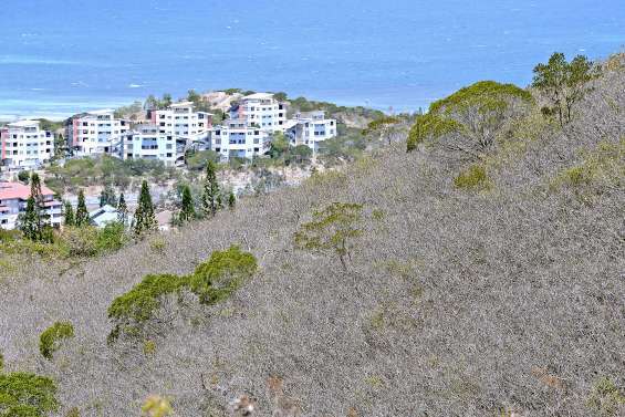 104 jours consécutifs  sans pluie à Nouméa