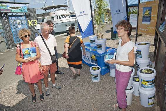 Une matinée pour sensibiliser  au risque requin