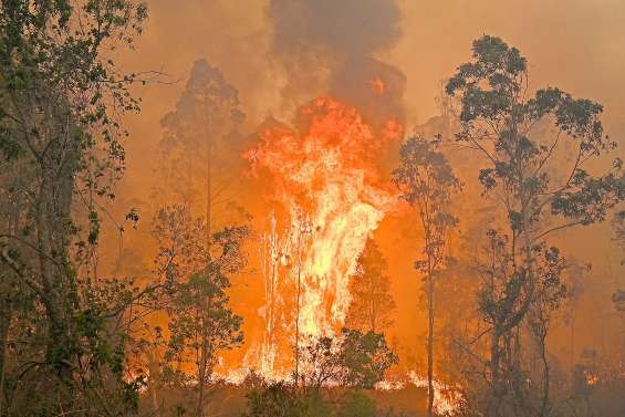 Les feux alimentent la montée du CO2 dans l’atmosphère