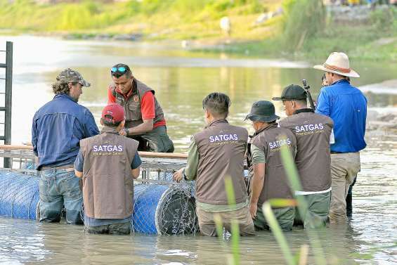 Un Australien vient aider à retirer un pneu du cou d’un crocodile