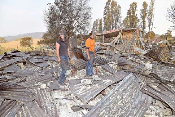 Selon une étude, les feux de forêt ont touché 75 % des Australiens