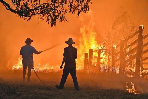 Les incendies ont détruit 20 % des forêts