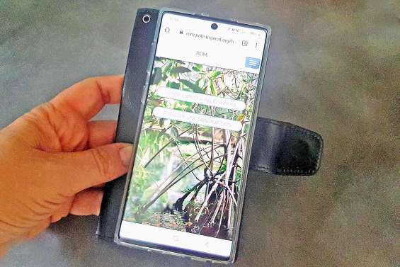 Une application pour préserver la mangrove