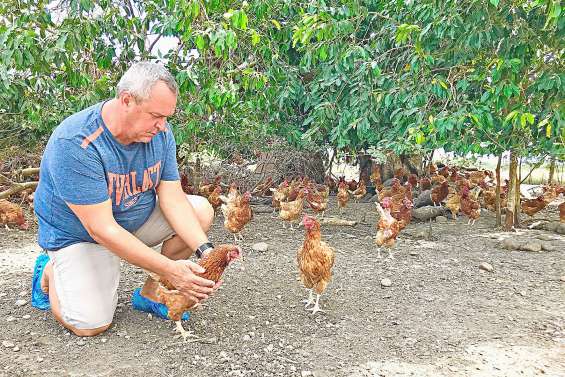 Les Calédoniens se ruent sur les œufs
