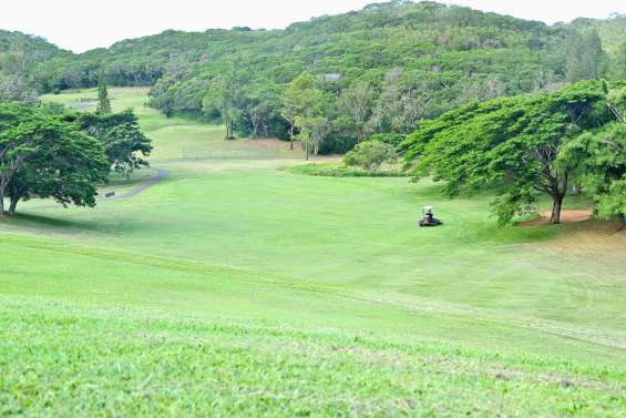 Les greens « respirent » pendant le confinement