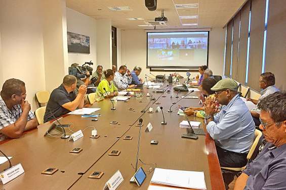 Assemblée atypique de la province des Îles sur le thème de l’aide aux entreprises