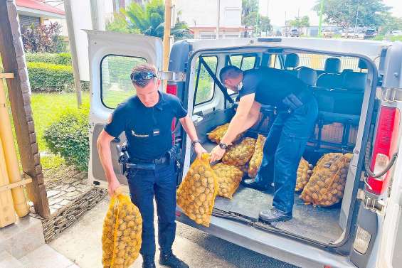 Les dons de la Banque alimentaire livrés dans le Nord