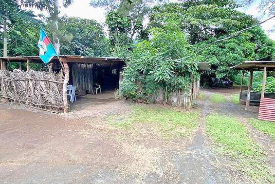 Kava express, laboratoire de pressage, s’installe au nakamal du col de Plum