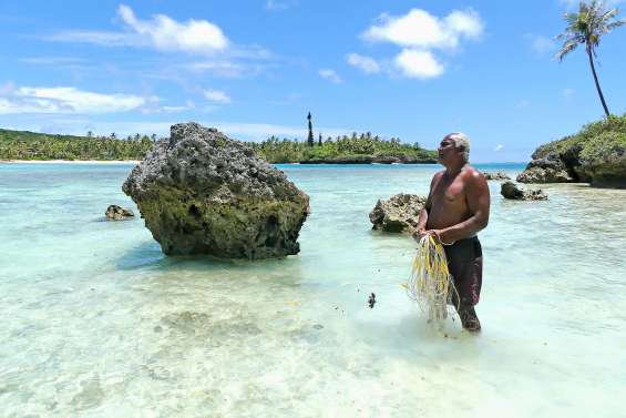 L’accès à la nature bientôt réglementé sur les îles Loyauté ?