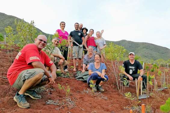 Les associations aident la nature à agir au parc de la Dumbéa