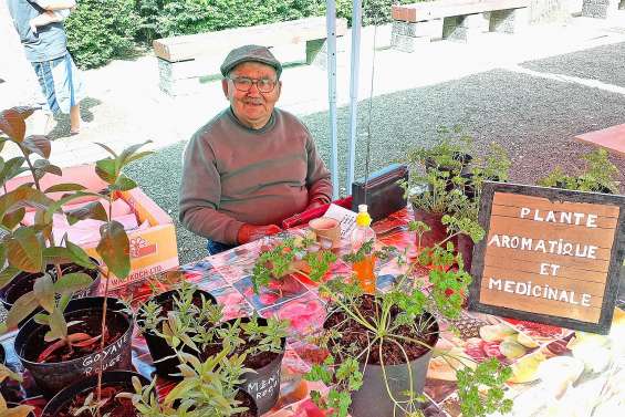 Le marché de La Foa, grand vainqueur du long week-end de l’Ascension