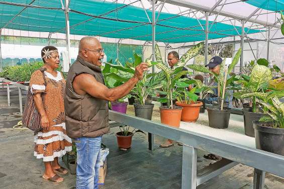 Le retour des Canafloralies