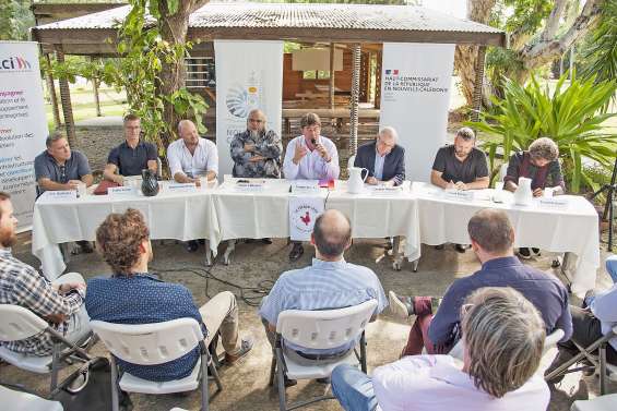 Un label « French Tech » pour aider les entreprises innovantes à se développer