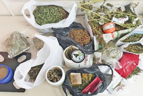 Plus d’un kilo et demi de cannabis saisi à Touho