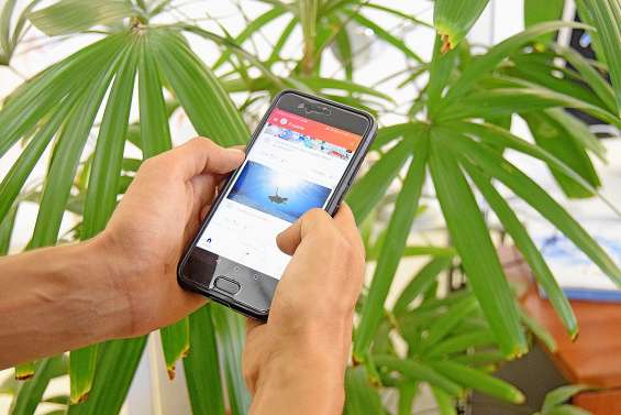 Wag : un groupe local pour l’application du WWF