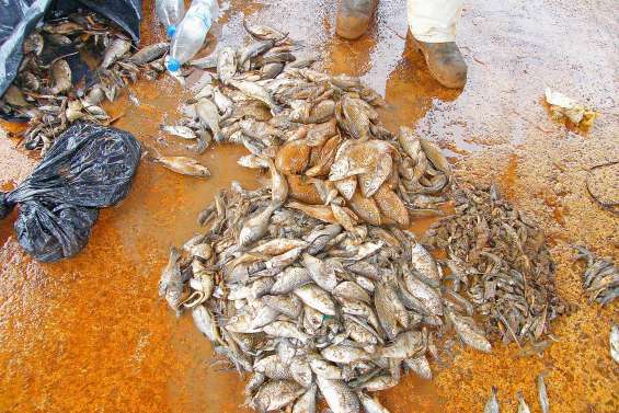 L’Observatoire de l’environnement menacé par la baisse de ses ressources